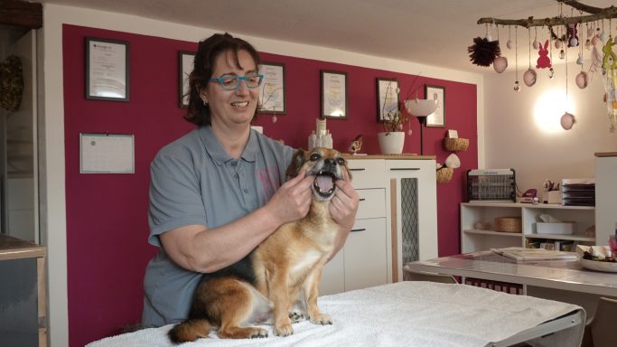Frau mit Brille hält den Mund eines kleinen Hundes in einem hundefreundlichen Salon.